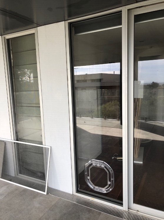 Dog Door supplied and installed in glass door in Capel Sound.